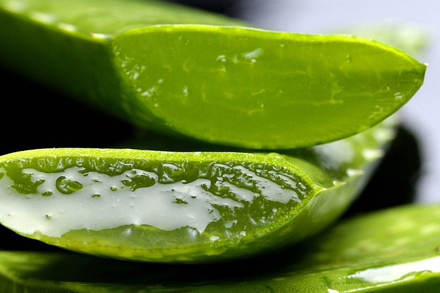Scopri i miracoli dell'Aloe Vera Come Dimagrire Naturalmente e Velocemente!
